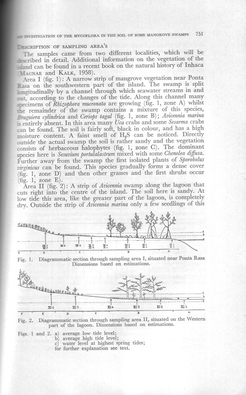 An Investigation of the Mycoflora in the soil of some Mangrove Swamps - aus dem Buch